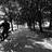 Fahrrad