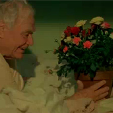 Short Movie 11'09''01 