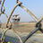baza_3a754b5a06.jpg