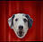 dog-cv.jpg