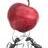 food-work-ant.jpg