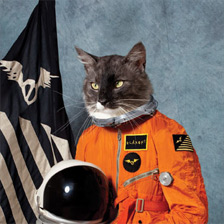 klaxons.jpg