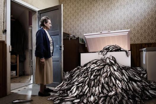 romain-laurent-fish.jpg