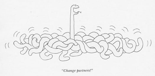 serpentine_sex_1.jpg