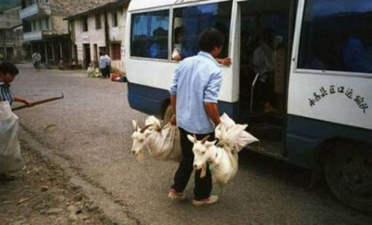 wtf-fail-stupid-9.jpg